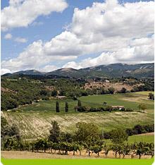 Il progetto geotermia